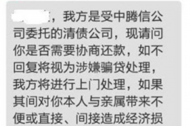 楚雄为什么选择专业追讨公司来处理您的债务纠纷？